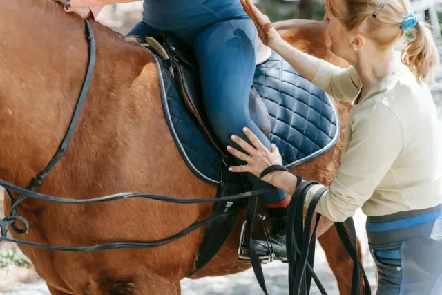 Horse Lessons