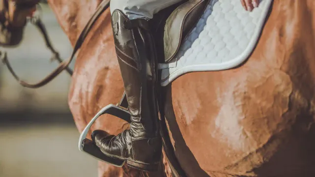 Horseback Riding