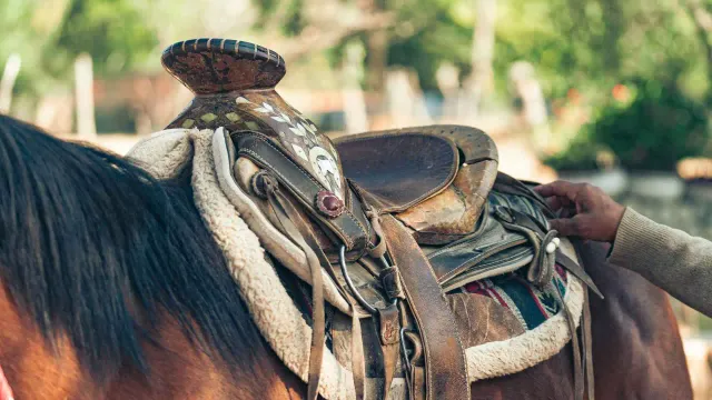 Ranch Experience