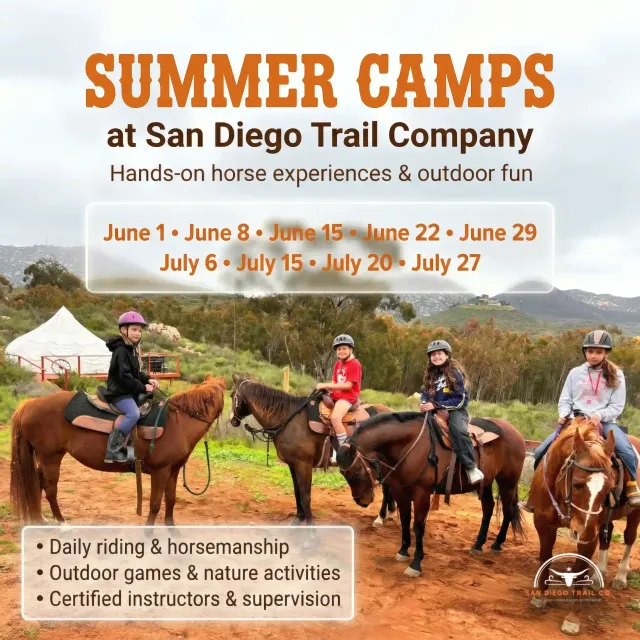 Summer Camps
