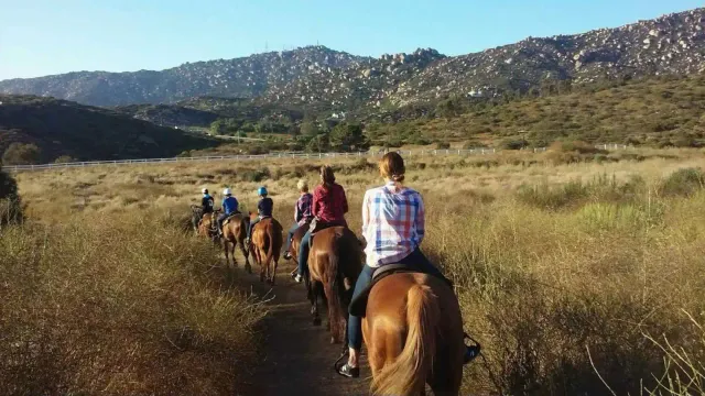 Trail Riding