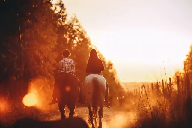 Trail Riding