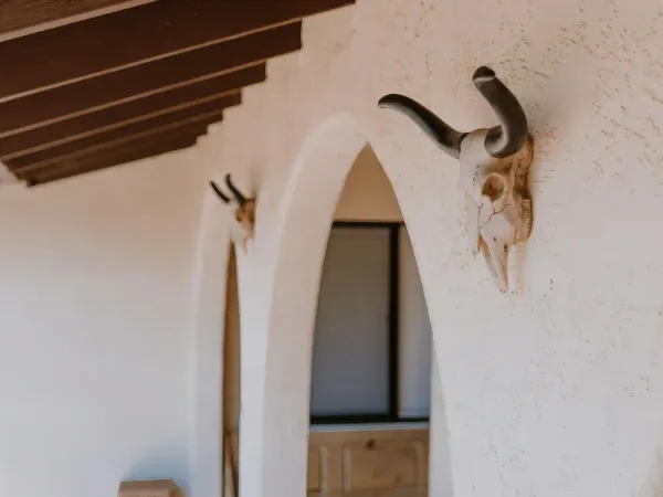 Oak-lined ranch grounds at San Diego Trail Company's Airbnb ranch in Poway, CA
