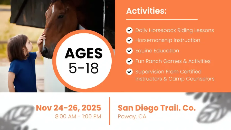 Horse Activities