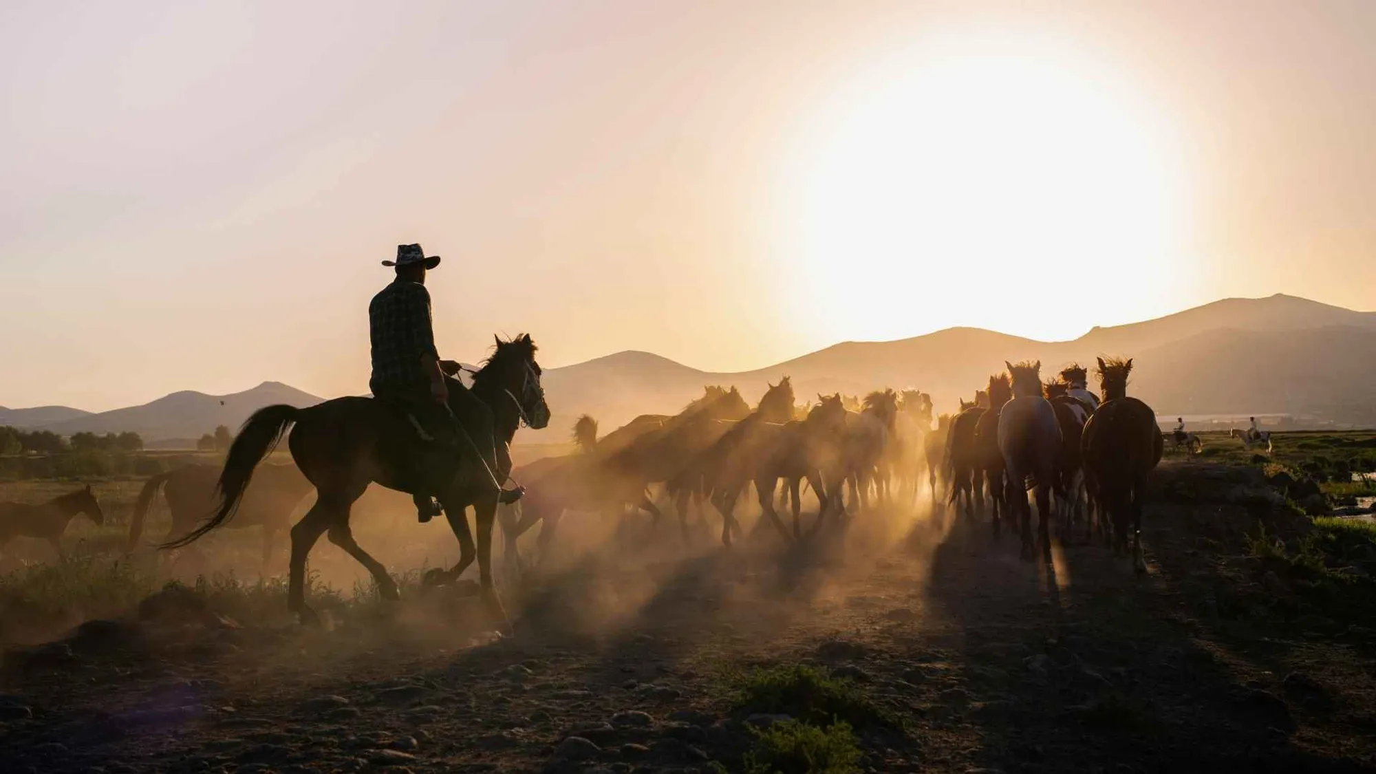 Corporate team at a sponsored ranch retreat