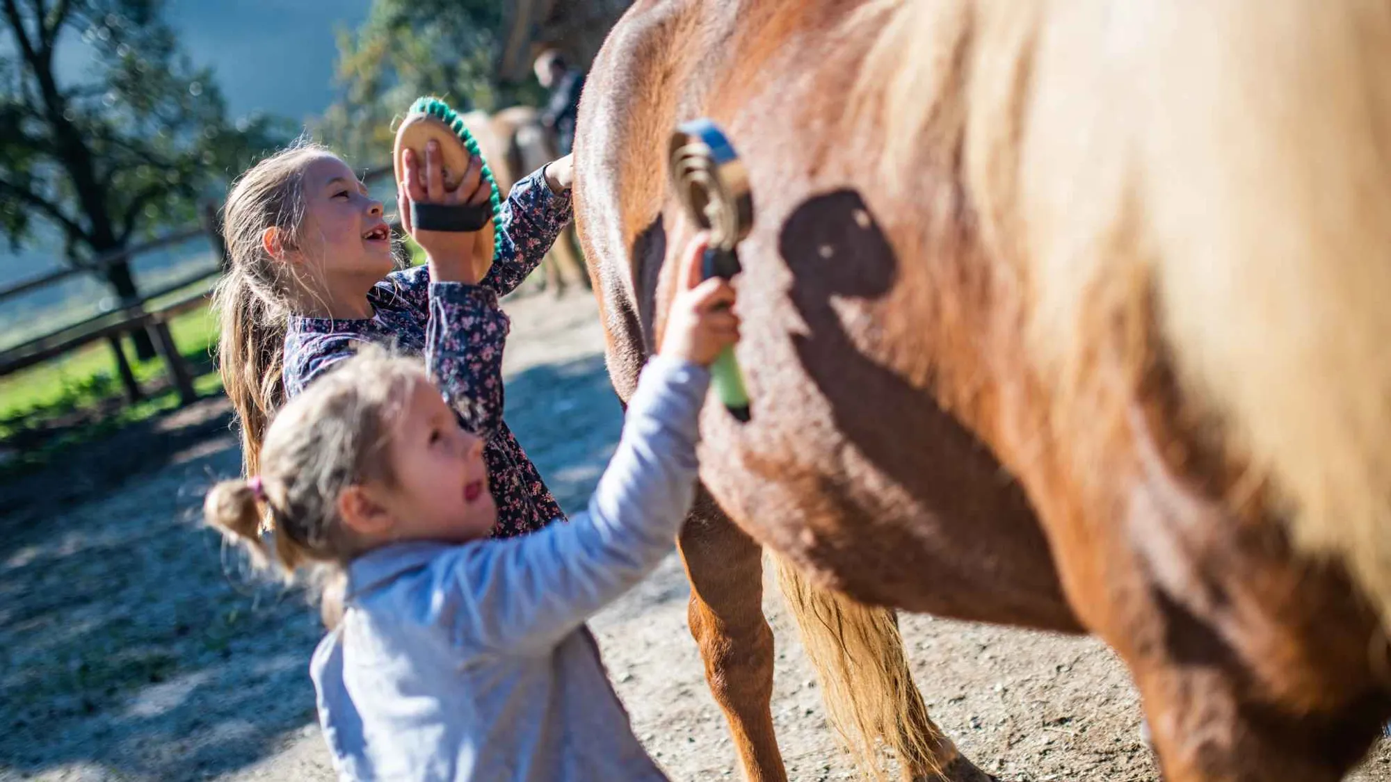 Youth learning horsemanship through the PTC Give program