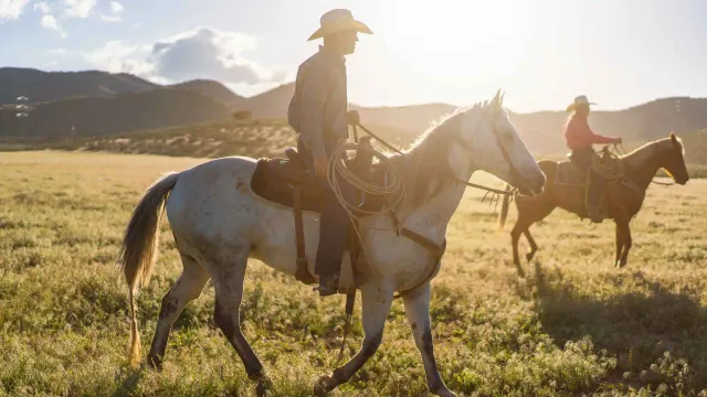 Dude Ranch