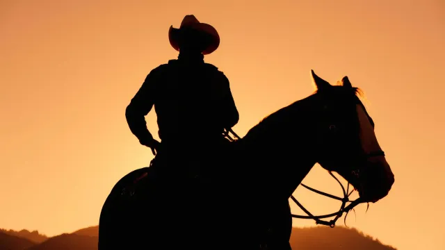 Dude Ranch